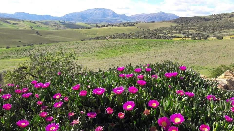 شقة Casa Al Cerro ألورا المظهر الخارجي الصورة